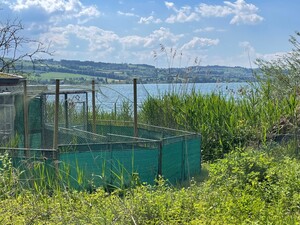 Bild 8_19o7igrn7er1e.jpg